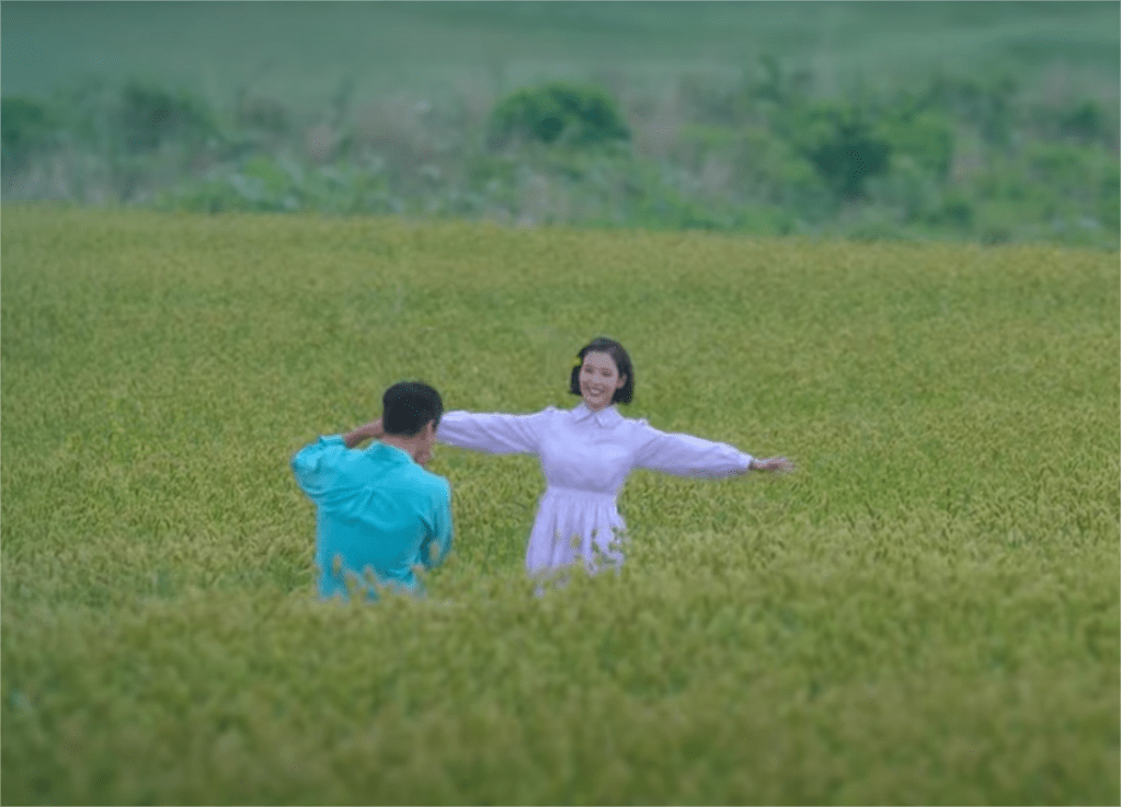 When life gives you tangerines